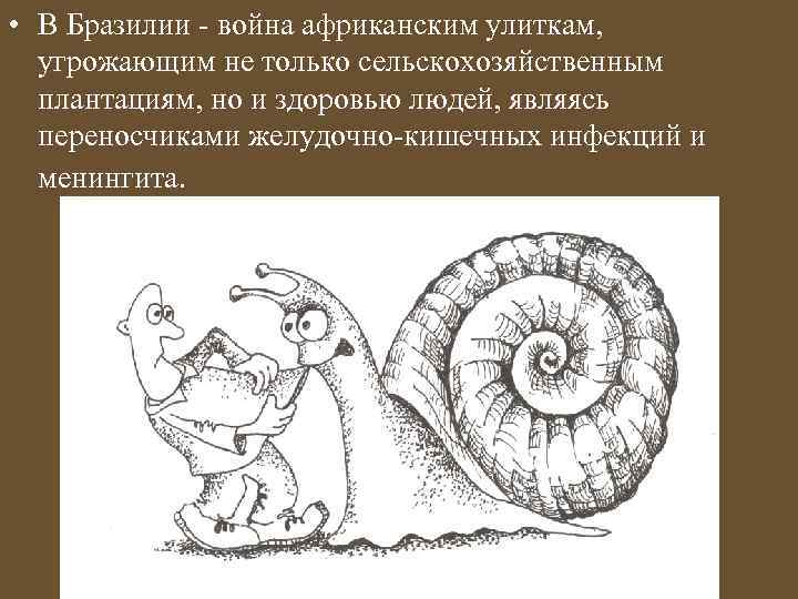  • В Бразилии - война африканским улиткам, угрожающим не только сельскохозяйственным плантациям, но