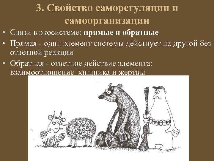 3. Свойство саморегуляции и самоорганизации • Связи в экосистеме: прямые и обратные • Прямая