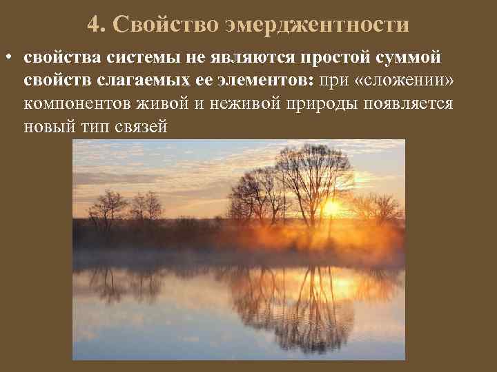 4. Свойство эмерджентности • свойства системы не являются простой суммой свойств слагаемых ее элементов: