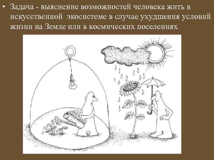  • Задача - выяснение возможностей человека жить в искусственной экосистеме в случае ухудшения
