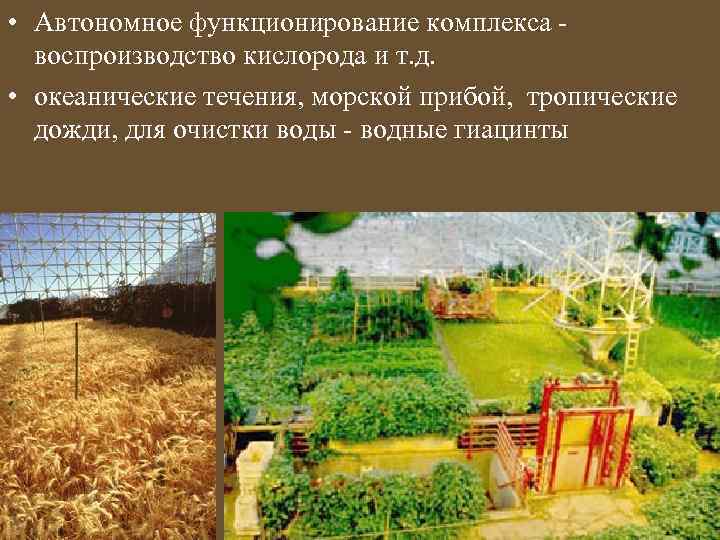  • Автономное функционирование комплекса - воспроизводство кислорода и т. д. • океанические течения,