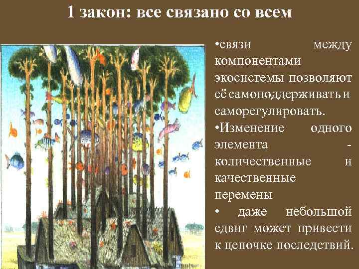 1 закон: все связано со всем • связи между компонентами экосистемы позволяют её самоподдерживать