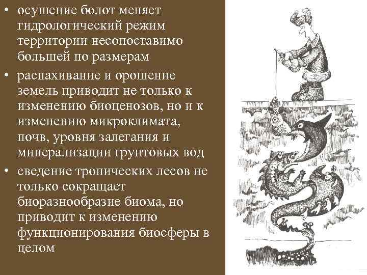  • осушение болот меняет гидрологический режим территории несопоставимо большей по размерам • распахивание