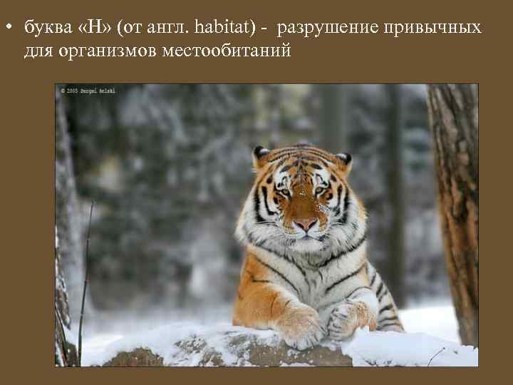  • буква «Н» (от англ. habitat) - разрушение привычных для организмов местообитаний 