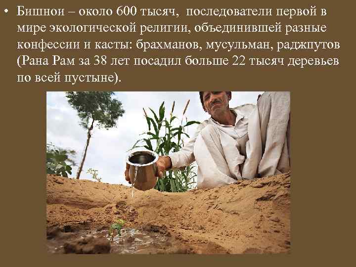  • Бишнои – около 600 тысяч, последователи первой в мире экологической религии, объединившей