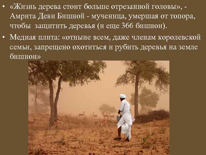  • «Жизнь дерева стоит больше отрезанной головы» , - Амрита Деви Бишной -