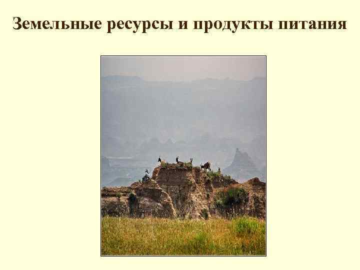 Земельные ресурсы и продукты питания 