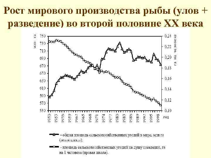 Рост мирового производства рыбы (улов + разведение) во второй половине ХХ века 