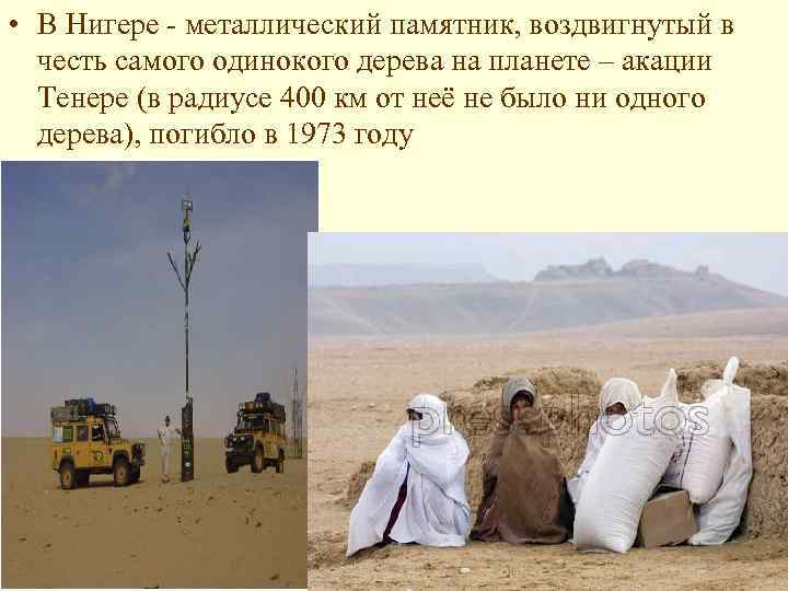  • В Нигере - металлический памятник, воздвигнутый в честь самого одинокого дерева на