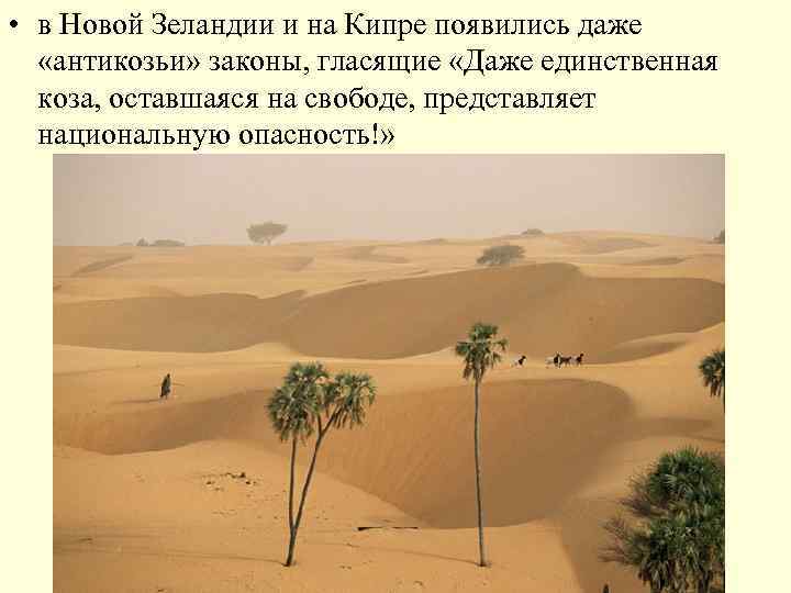  • в Новой Зеландии и на Кипре появились даже «антикозьи» законы, гласящие «Даже