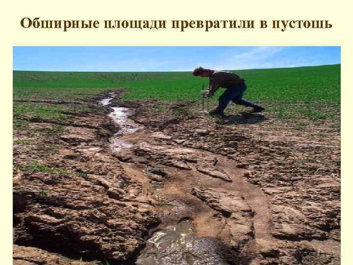 Обширные площади превратили в пустошь 