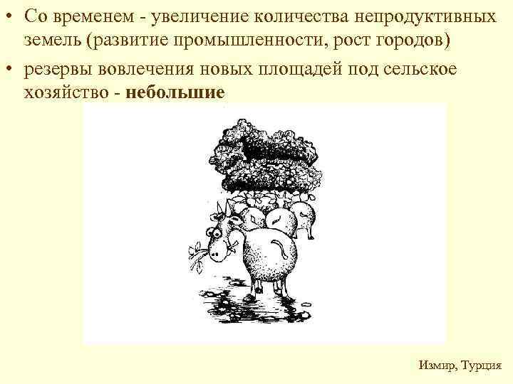  • Со временем - увеличение количества непродуктивных земель (развитие промышленности, рост городов) •