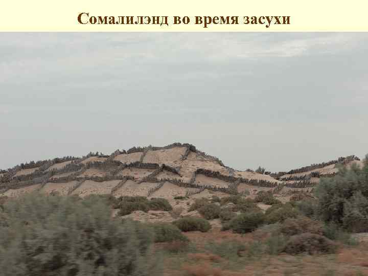 Сомалилэнд во время засухи 