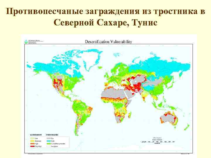 Противопесчаные заграждения из тростника в Северной Сахаре, Тунис 