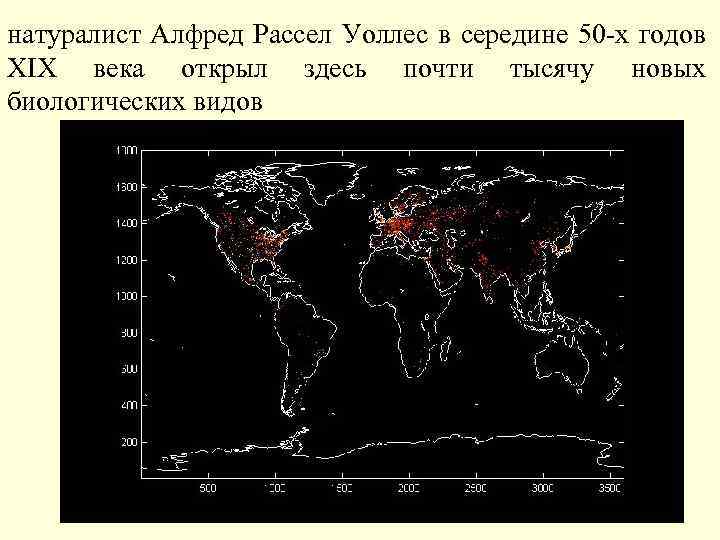 натуралист Алфред Рассел Уоллес в середине 50 -х годов XIX века открыл здесь почти