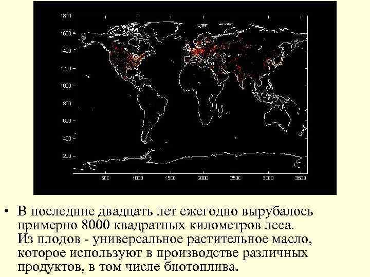  • В последние двадцать лет ежегодно вырубалось примерно 8000 квадратных километров леса. Из