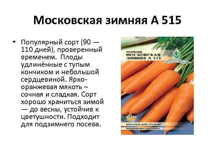 Московская зимняя А 515 • Популярный сорт (90 — 110 дней), проверенный временем. Плоды