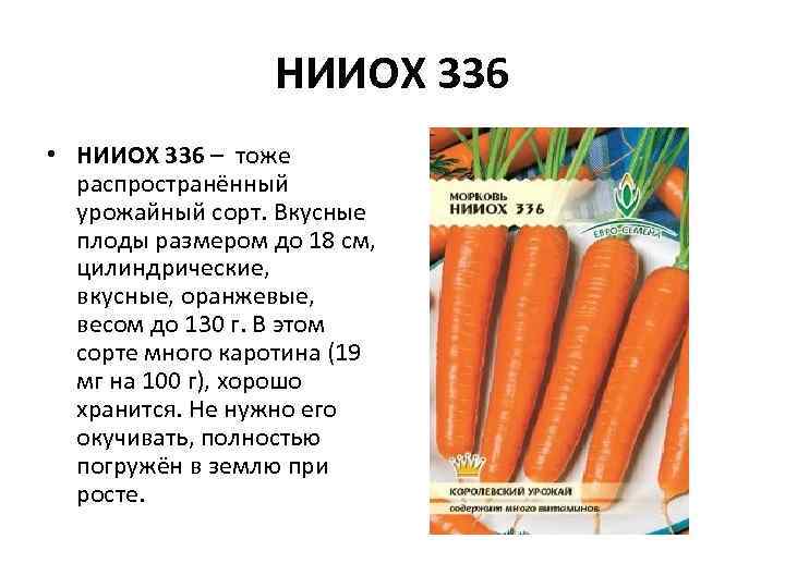 НИИОХ 336 • НИИОХ 336 – тоже распространённый урожайный сорт. Вкусные плоды размером до