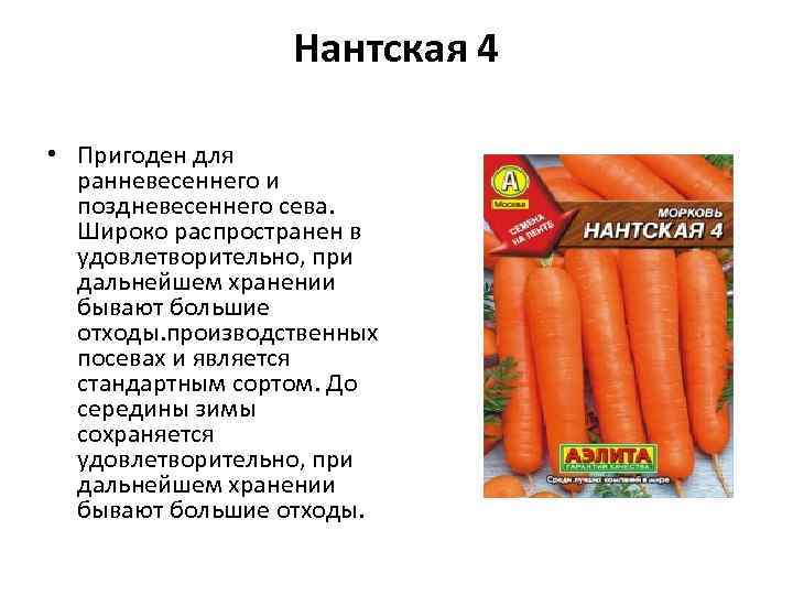Нантская 4 • Пригоден для ранневесеннего и поздневесеннего сева. Широко распространен в удовлетворительно, при