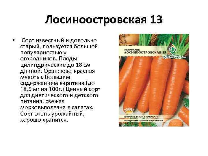 Лосиноостровская 13 • Сорт известный и довольно старый, пользуется большой популярностью у огородников. Плоды