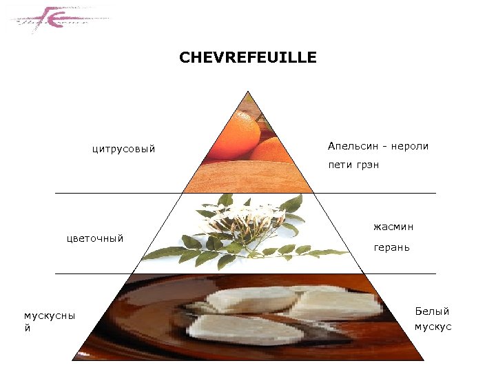 CHEVREFEUILLE цитрусовый Апельсин - нероли пети грэн цветочный мускусны й жасмин герань Белый мускус