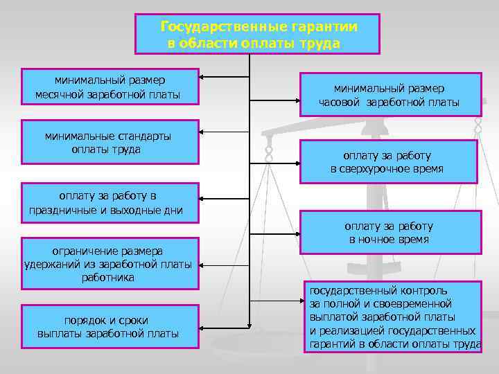  Государственные гарантии в области оплаты труда минимальный размер месячной заработной платы минимальные стандарты