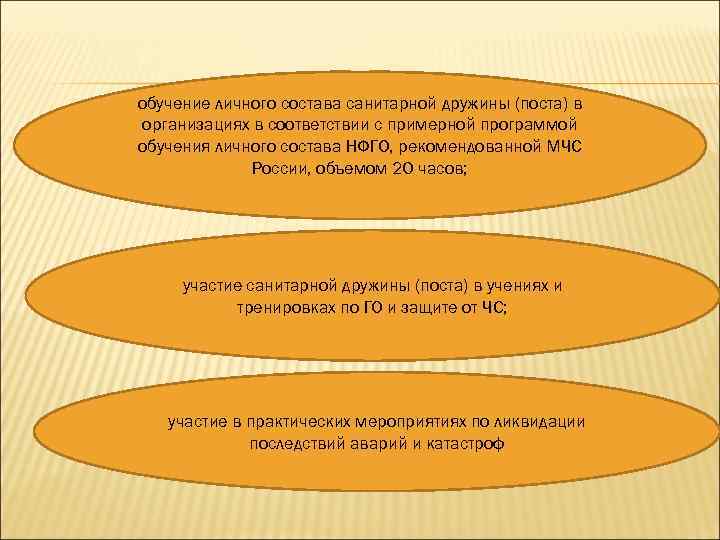 обучение личного состава санитарной дружины (поста) в организациях в соответствии с примерной программой обучения
