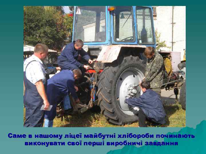 Саме в нашому ліцеї майбутні хлібороби починають виконувати свої перші виробничі завдання 