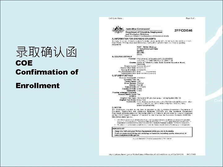 录取确认函 COE Confirmation of Enrollment 