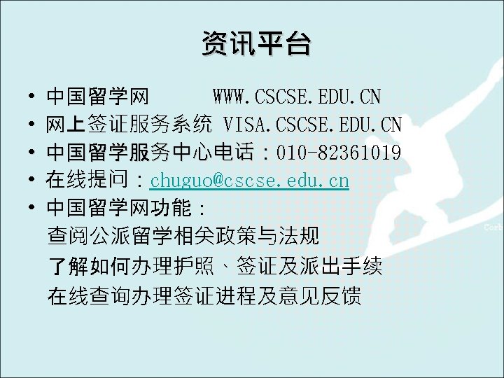 资讯平台 • • • 中国留学网 WWW. CSCSE. EDU. CN 网上签证服务系统 VISA. CSCSE. EDU. CN