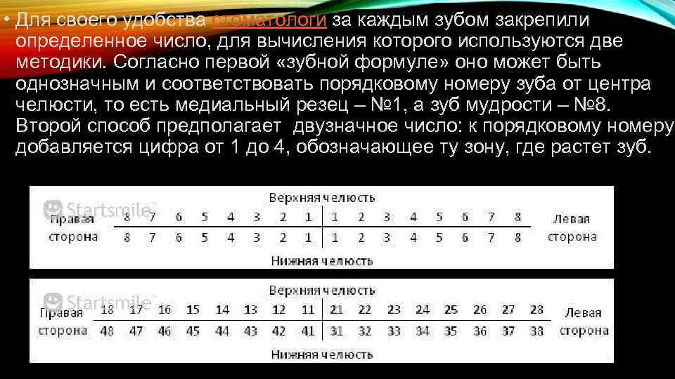  • Для своего удобства стоматологи за каждым зубом закрепили определенное число, для вычисления