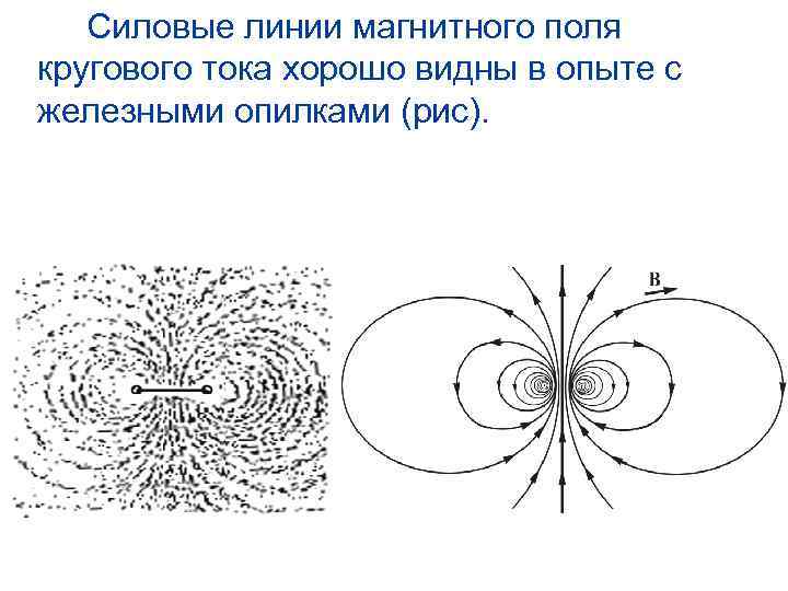 Изобразить магнитное поле витка с током. Силовые линии магнитного поля прямого тока. Линии магнитной индукции кругового тока.