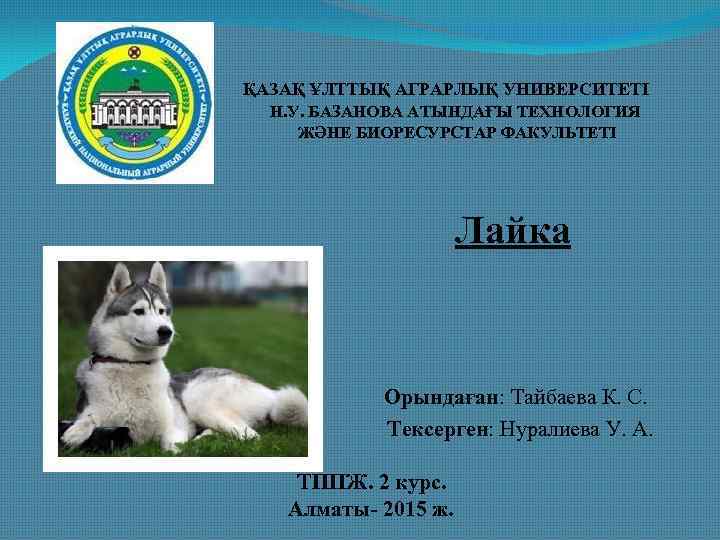  ҚАЗАҚ ҰЛТТЫҚ АГРАРЛЫҚ УНИВЕРСИТЕТІ Н. У. БАЗАНОВА АТЫНДАҒЫ ТЕХНОЛОГИЯ ЖӘНЕ БИОРЕСУРСТАР ФАКУЛЬТЕТІ Лайка