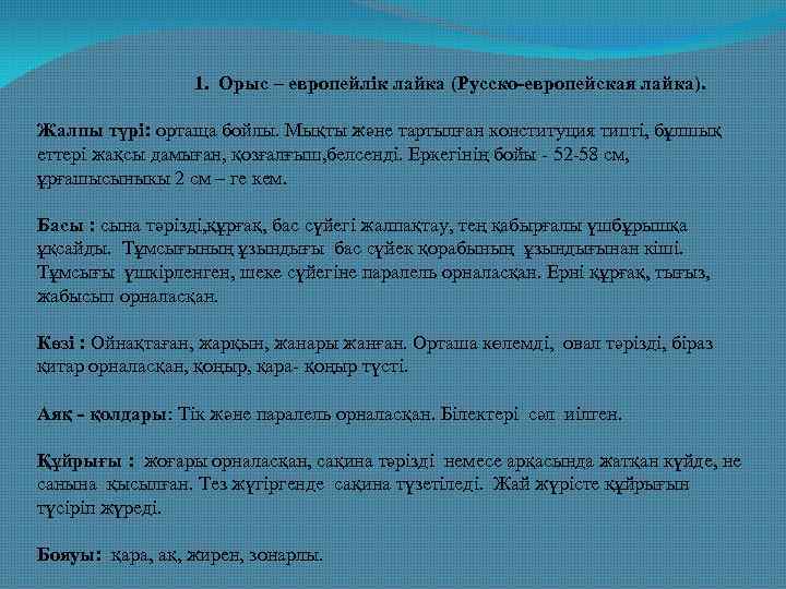 1. Орыс – европейлік лайка (Русско-европейская лайка). Жалпы түрі: ортаща бойлы. Мықты және тартылған