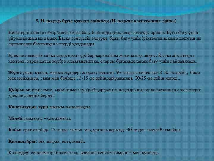  5. Ненецтер бұғы қуғыш лайкасы (Ненецкая оленегонная лайка) Ненцтердің негізгі өмір салты бұғы