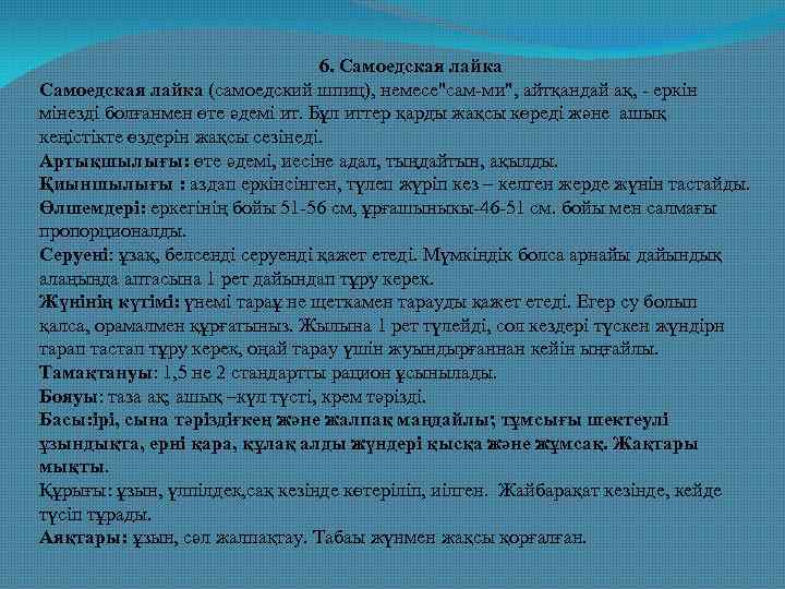  6. Самоедская лайка (самоедский шпиц), немесе"сам-ми", айтқандай ақ, - еркін мінезді болғанмен өте