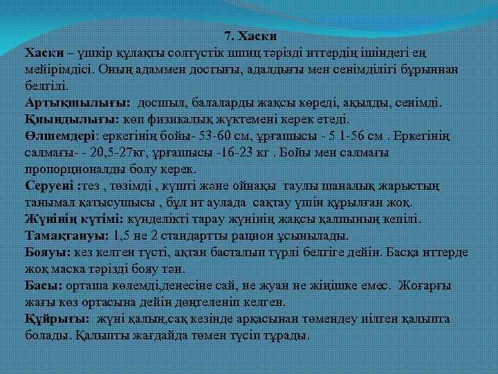 7. Хаски – үшкір құлақты солтүстік шпиц тәрізді иттердің ішіндегі ең мейірімдісі. Оның адаммен