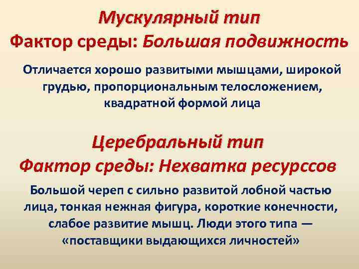 Мускулярный тип Фактор среды: Большая подвижность Отличается хорошо развитыми мышцами, широкой грудью, пропорциональным телосложением,