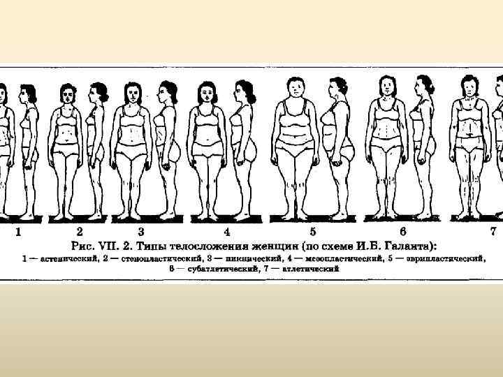 Для описания женских типов телосложения наиболее приемлема схема
