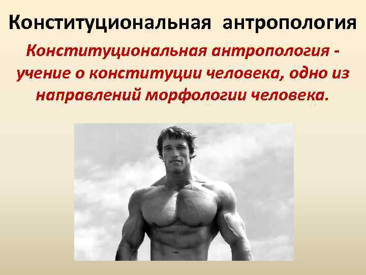 Конституциональная антропология - учение о конституции человека, одно из направлений морфологии человека. 