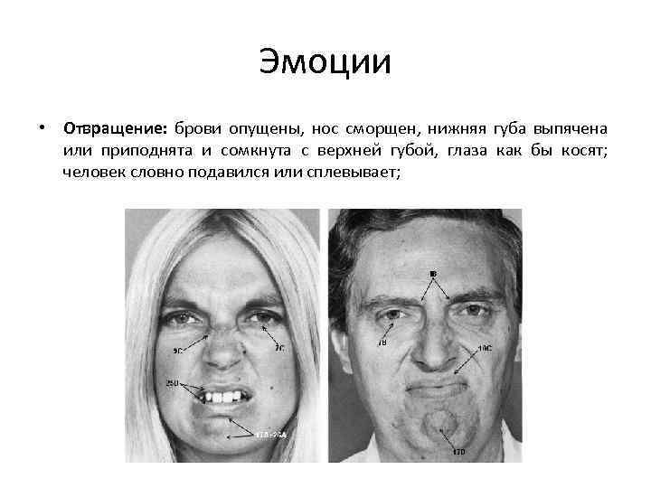 Эмоции • Отвращение: брови опущены, нос сморщен, нижняя губа выпячена или приподнята и сомкнута