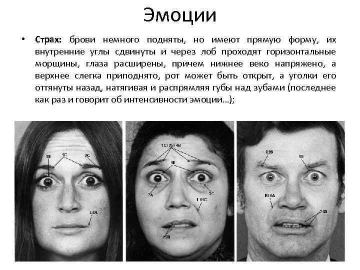 Эмоции • Страх: брови немного подняты, но имеют прямую форму, их внутренние углы сдвинуты