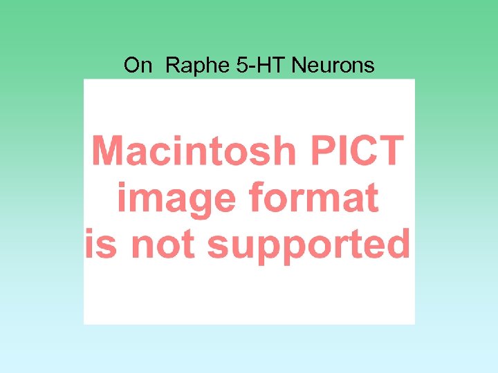 On Raphe 5 -HT Neurons *=p<0. 05 **=P<0. 01 