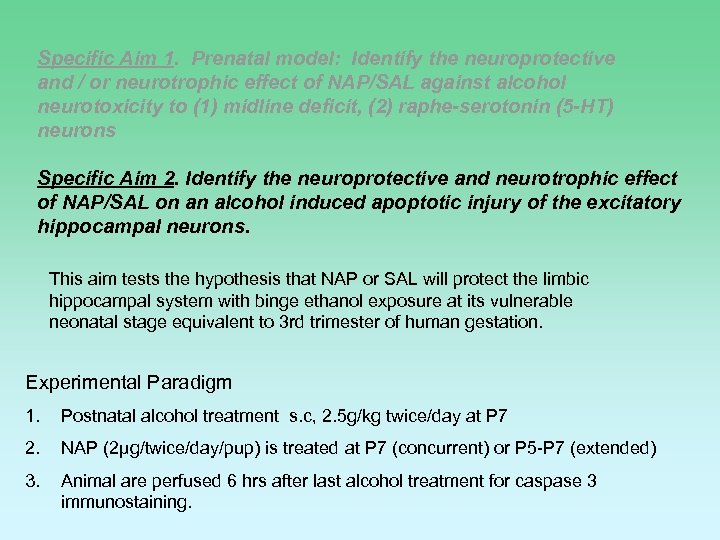 Specific Aim 1. Prenatal model: Identify the neuroprotective and / or neurotrophic effect of