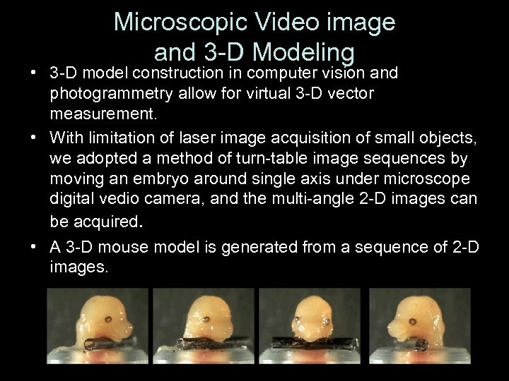 Microscopic Video image and 3 -D Modeling • 3 -D model construction in computer