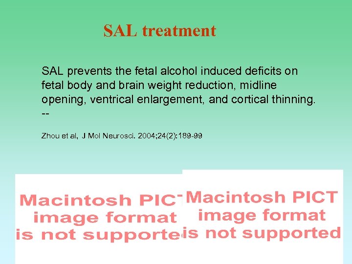 SAL treatment SAL prevents the fetal alcohol induced deficits on fetal body and brain