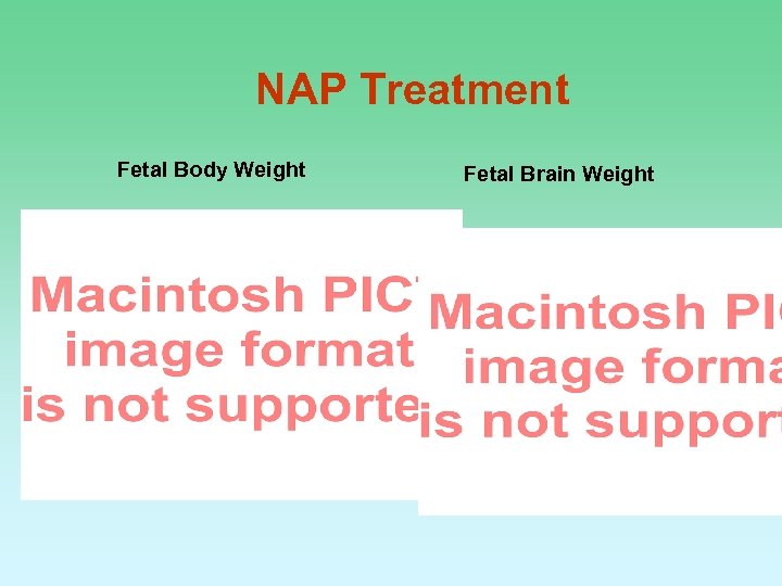 NAP Treatment Fetal Body Weight Fetal Brain Weight 