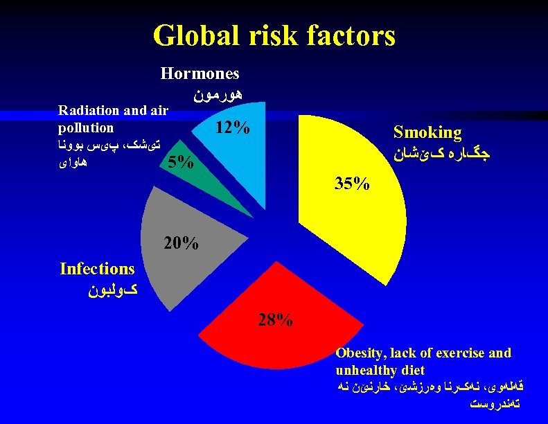 Global risk factors Hormones ﻫﻮﺭﻣﻮﻥ Radiation and air pollution ﺗیﺸک، پیﺲ ﺑﻮﻭﻧﺎ ﻫﺎﻭﺍی 5%