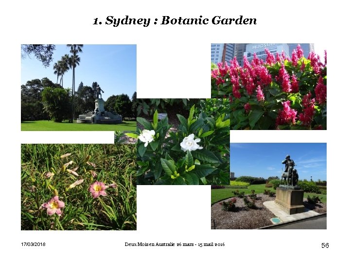 1. Sydney : Botanic Garden 17/03/2018 Deux Mois en Australie 26 mars - 15