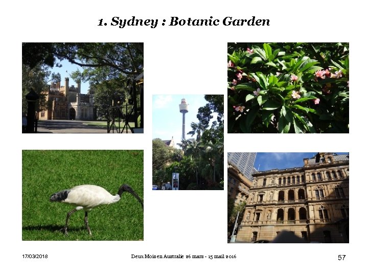 1. Sydney : Botanic Garden 17/03/2018 Deux Mois en Australie 26 mars - 15